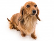 tn04クラウディア__K9A3188