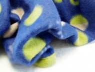 カニヘンダックス　子犬　シェーデットクリーム　男の子