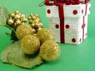 カニヘンダックス 子犬 ブラッククリーム男の子 カニヘンダックス 子犬 ブラッククリーム男の子