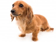 tn06ユーツー_K9A1606 tn06ユーツー_K9A1606