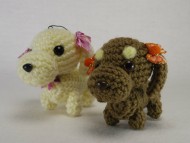 カニヘン 子犬 チョコクリ女の子 カニヘン 子犬 チョコクリ女の子