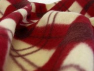 カニヘンダックス 子犬 クリーム 女の子 カニヘンダックス 子犬 クリーム 女の子