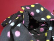 カニヘン ダックスフンド 子犬 シェーデットクリーム男の子