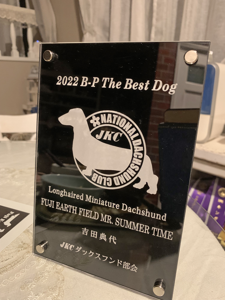 ダックスフンド部会 ンキング表彰パーティー