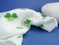 カニンヘン ダックスフンド 子犬 シェーデットクリーム 男の子 カニンヘン ダックスフンド 子犬 シェーデットクリーム 男の子