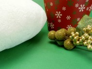 カニンヘンダックス　子犬　ブラックタン女の子