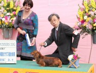 静岡東クラブ連合会展にて ジムダンディがウィナーズ