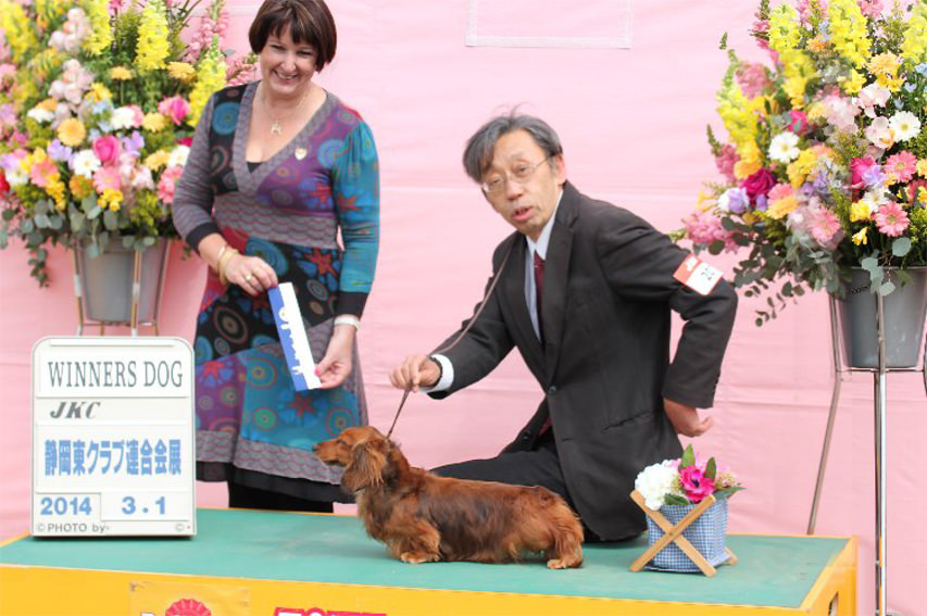 静岡東クラブ連合会展にて ジムダンディがウィナーズ 静岡東クラブ連合会展にて ジムダンディがウィナーズ