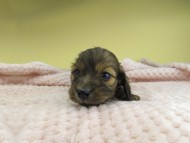 2012-01-01 00.02.25 2012-01-01 00.02.25