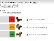 どのダックスフンドがお好きでしょうか? 2012 春 結果 どのダックスフンドがお好きでしょうか? 2012 春 結果