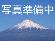 わらび カニンヘン ダックスフンド
