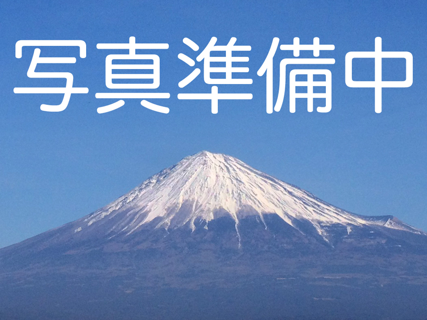 わらび カニンヘン ダックスフンド わらび カニンヘン ダックスフンド