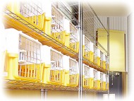 お食事処 お食事処