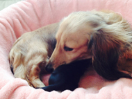 2014-01-25 10.48.45 2014-01-25 10.48.45