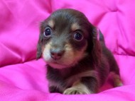 2014-05-24 15.59.02 2014-05-24 15.59.02