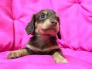 2014-05-24 15.59.46 2014-05-24 15.59.46