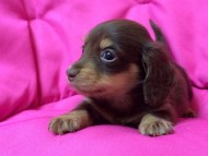 2014-05-24 16.00.31 2014-05-24 16.00.31