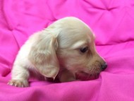 2014-05-24 16.50.26 2014-05-24 16.50.26