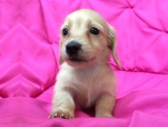 2014-05-24 16.50.30 2014-05-24 16.50.30