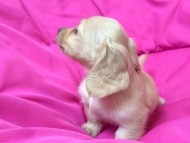 2014-05-24 16.53.33 2014-05-24 16.53.33