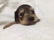 2014-07-07 01.32.56 2014-07-07 01.32.56