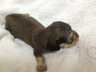 2014-07-07 01.33.03 2014-07-07 01.33.03