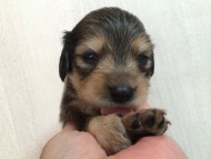 2014-07-07 01.33.06 2014-07-07 01.33.06