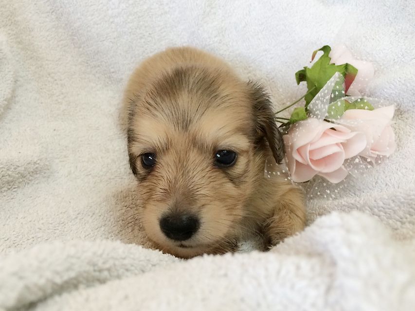 2014-07-12 09.06.11 2014-07-12 09.06.11