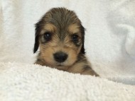 2014-07-17 11.16.42-1 2014-07-17 11.16.42-1