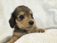 2014-07-17 11.17.26 2014-07-17 11.17.26