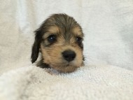 2014-07-17 11.19.06 2014-07-17 11.19.06