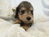 2014-07-17 11.23.29 2014-07-17 11.23.29