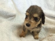 2014-07-17 11.33.16 2014-07-17 11.33.16