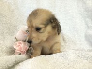 2014-07-17 11.40.05 2014-07-17 11.40.05