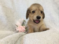 2014-07-17 11.40.10-1