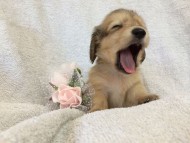 2014-07-17 11.40.10-2 2014-07-17 11.40.10-2