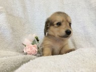 2014-07-17 11.40.16 2014-07-17 11.40.16