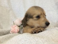 2014-07-17 11.42.11-1 2014-07-17 11.42.11-1