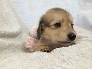 2014-07-17 11.42.42 2014-07-17 11.42.42