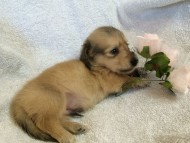 2014-07-17 11.46.04 2014-07-17 11.46.04