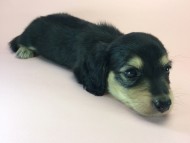 2014-08-15 14.57.48 2014-08-15 14.57.48