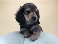 2014-08-16 17.01.18-1