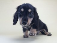 2014-08-19 10.10.13 2014-08-19 10.10.13