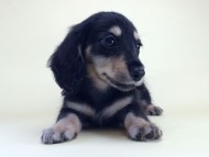 2014-08-19 10.10.29 2014-08-19 10.10.29