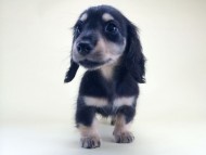 2014-08-19 10.10.32 2014-08-19 10.10.32