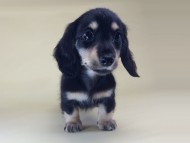 2014-08-19 10.13.25 2014-08-19 10.13.25