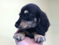 2014-08-19 10.14.19 2014-08-19 10.14.19