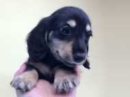 2014-08-19 10.14.21 2014-08-19 10.14.21