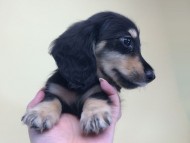 2014-08-19 10.14.22 2014-08-19 10.14.22