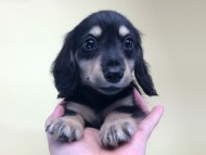 2014-08-19 10.14.29-1 2014-08-19 10.14.29-1